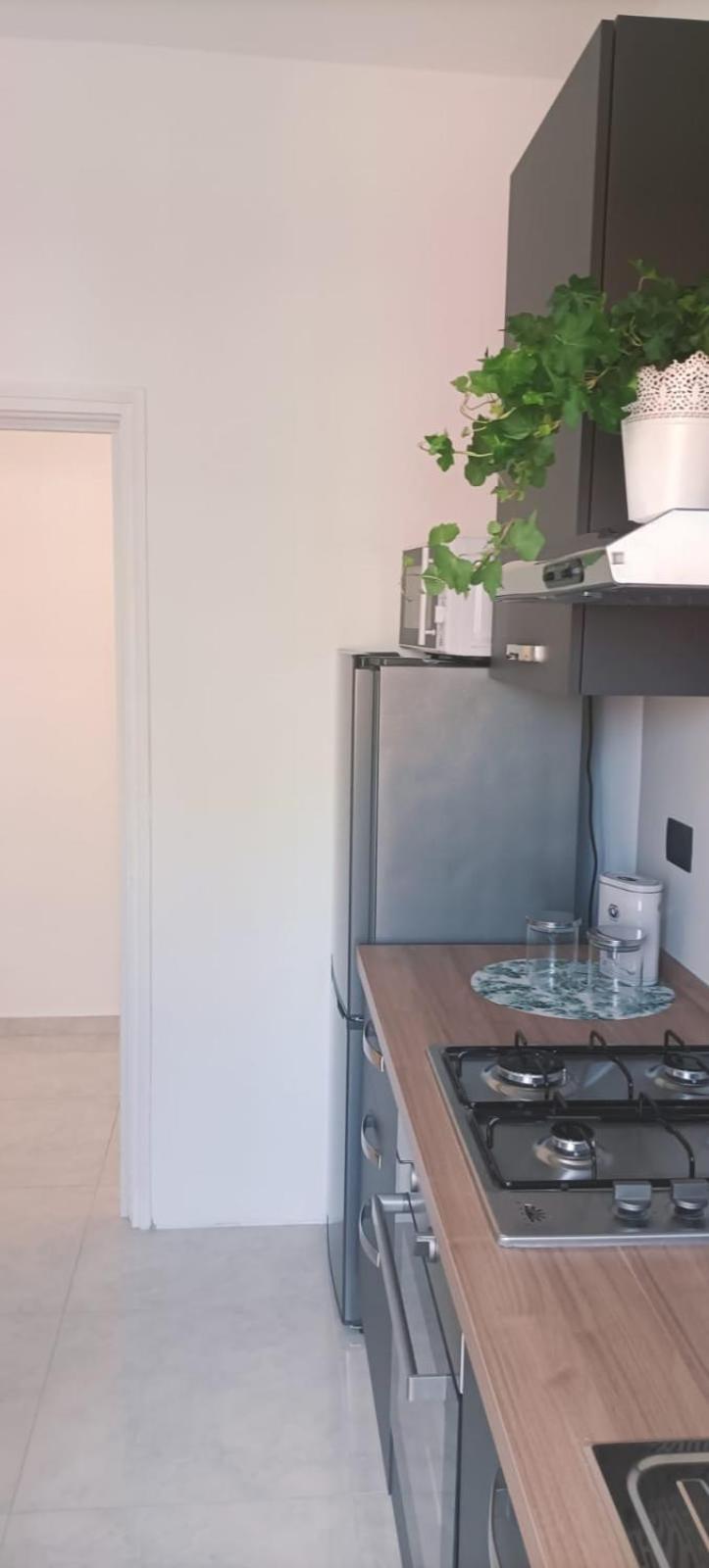 Carlo Apartment